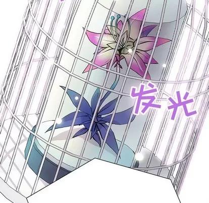 野性之城 野性之城 | 第71章 第37页