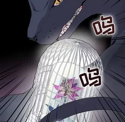 野性之城 野性之城 | 第71章 第41页