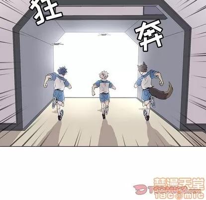 野性之城 野性之城 | 第71章 第50页