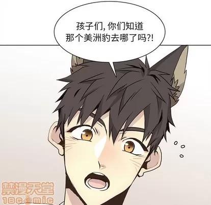 野性之城 野性之城 | 第72章 第45页