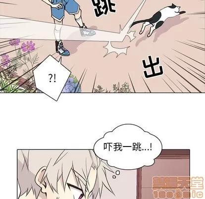 野性之城 野性之城 | 第72章 第55页