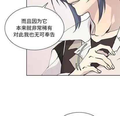 野性之城 野性之城 | 第72章 第63页
