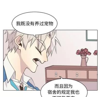野性之城 野性之城 | 第73章 第9页