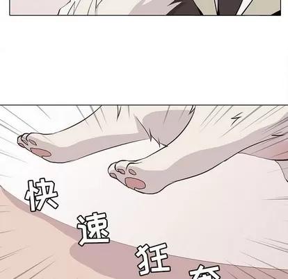 野性之城 野性之城 | 第73章 第12页