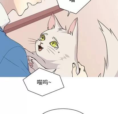 野性之城 野性之城 | 第73章 第17页