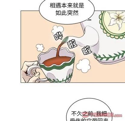 野性之城 野性之城 | 第73章 第18页