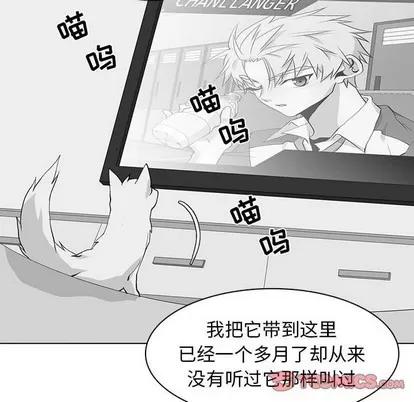 野性之城 野性之城 | 第73章 第22页