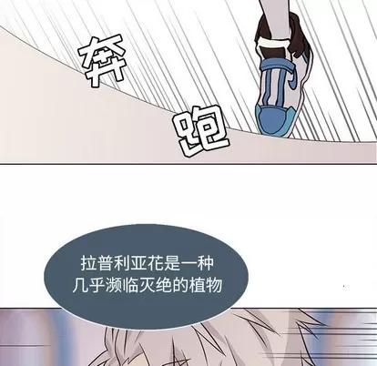 野性之城 野性之城 | 第73章 第33页