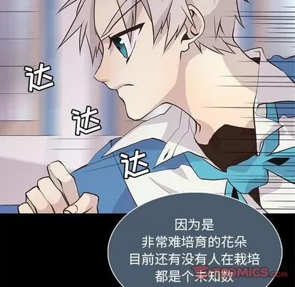 野性之城 野性之城 | 第73章 第34页