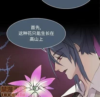 野性之城 野性之城 | 第73章 第35页