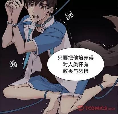 野性之城 野性之城 | 第74章 第14页
