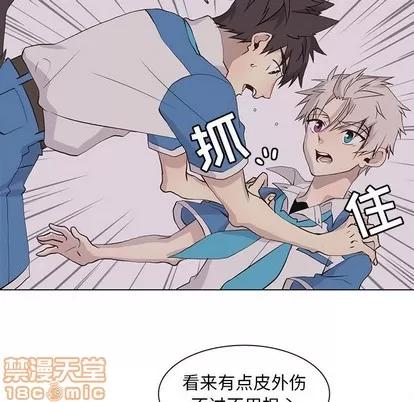 野性之城 野性之城 | 第74章 第60页
