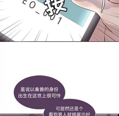 野性之城 野性之城 | 第77章 第69页