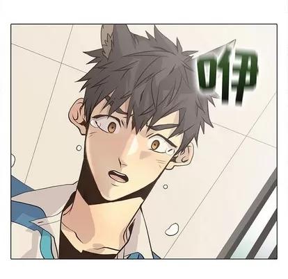 野性之城 野性之城 | 第78章 第63页