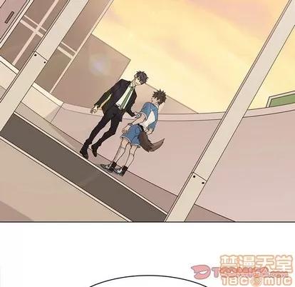 野性之城 野性之城 | 第79章 第40页