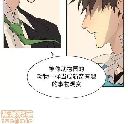 野性之城 野性之城 | 第79章 第65页