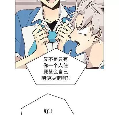 野性之城 野性之城 | 第80章 第64页