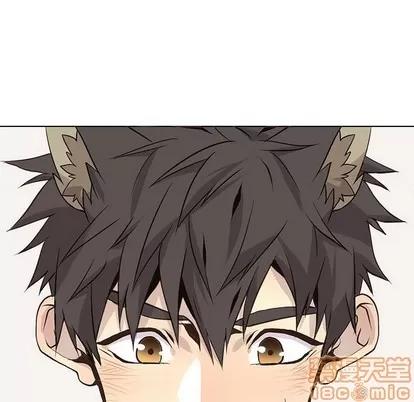 野性之城 野性之城 | 第81章 第25页