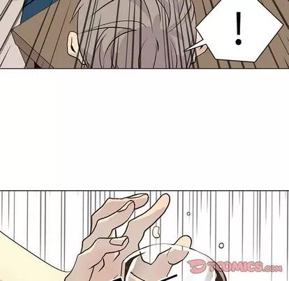 野性之城 野性之城 | 第81章 第78页