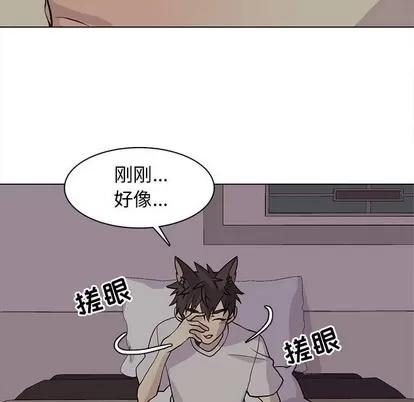 野性之城 野性之城 | 第82章 第43页