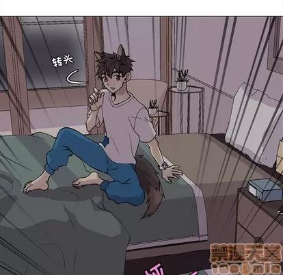 野性之城 野性之城 | 第82章 第45页