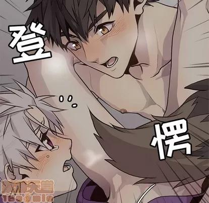 野性之城 野性之城 | 第82章 第65页