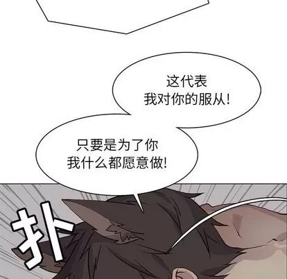 野性之城 野性之城 | 第82章 第81页