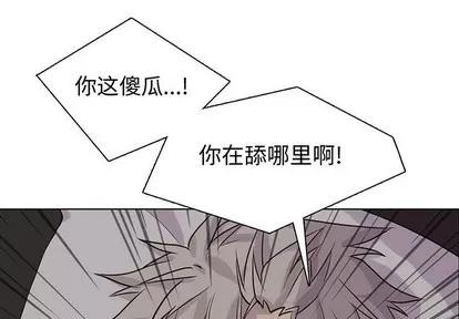 野性之城 野性之城 | 第83章 第1页