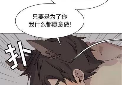 野性之城 野性之城 | 第83章 第4页