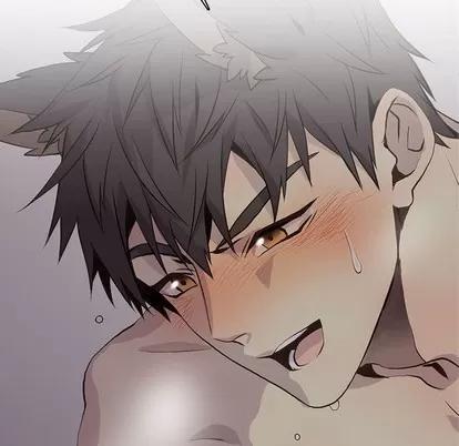 野性之城 野性之城 | 第83章 第12页