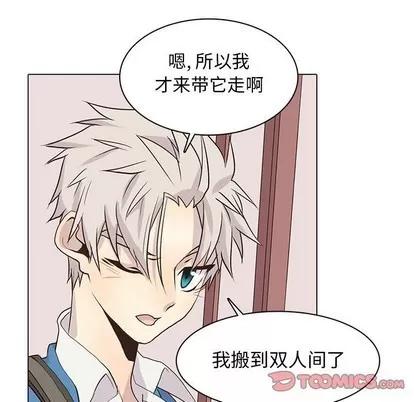 野性之城 野性之城 | 第83章 第56页