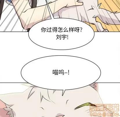 野性之城 野性之城 | 第83章 第60页