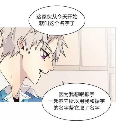 野性之城 野性之城 | 第83章 第63页