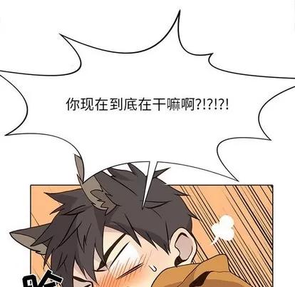 野性之城 野性之城 | 第84章 第47页