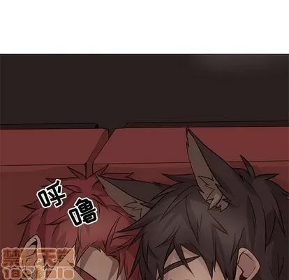 野性之城 野性之城 | 第84章 第80页