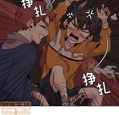 野性之城 野性之城 | 第85章 第25页