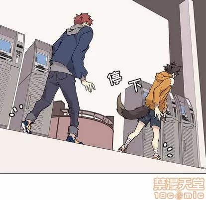 野性之城 野性之城 | 第85章 第35页
