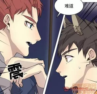 野性之城 野性之城 | 第86章 第30页