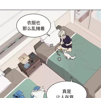 野性之城 野性之城 | 第86章 第36页