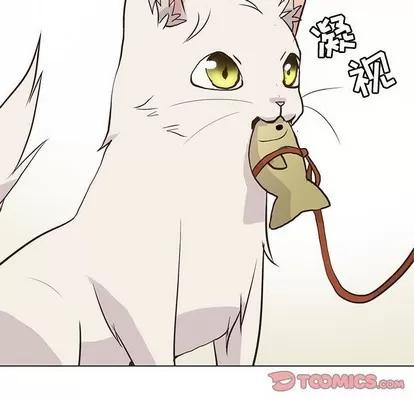 野性之城 野性之城 | 第86章 第46页