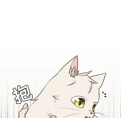 野性之城 野性之城 | 第86章 第47页