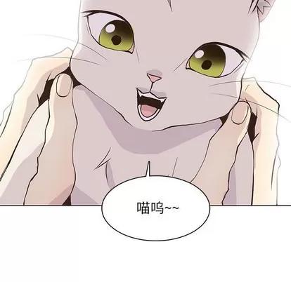 野性之城 野性之城 | 第86章 第53页