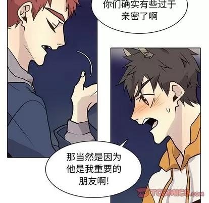 野性之城 野性之城 | 第86章 第62页