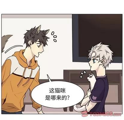 野性之城 野性之城 | 第87章 第62页