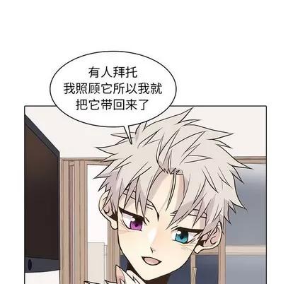 野性之城 野性之城 | 第87章 第63页