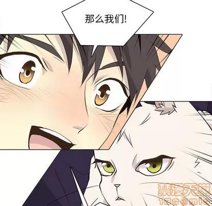 野性之城 野性之城 | 第87章 第65页