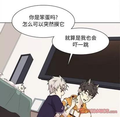 野性之城 野性之城 | 第87章 第74页