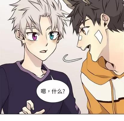 野性之城 野性之城 | 第87章 第76页