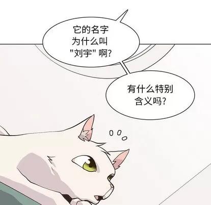 野性之城 野性之城 | 第87章 第77页
