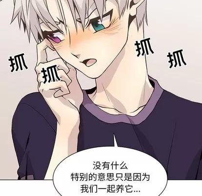 野性之城 野性之城 | 第87章 第79页